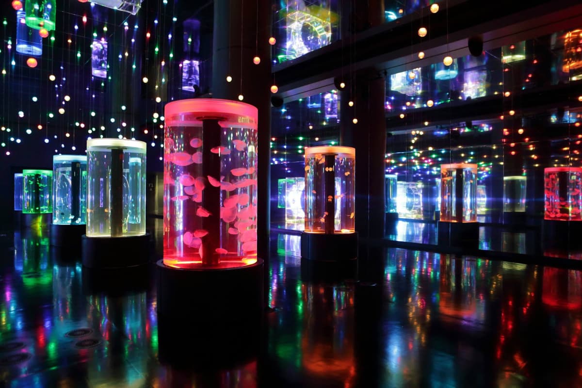 Maxell Aqua Park Shinagawa