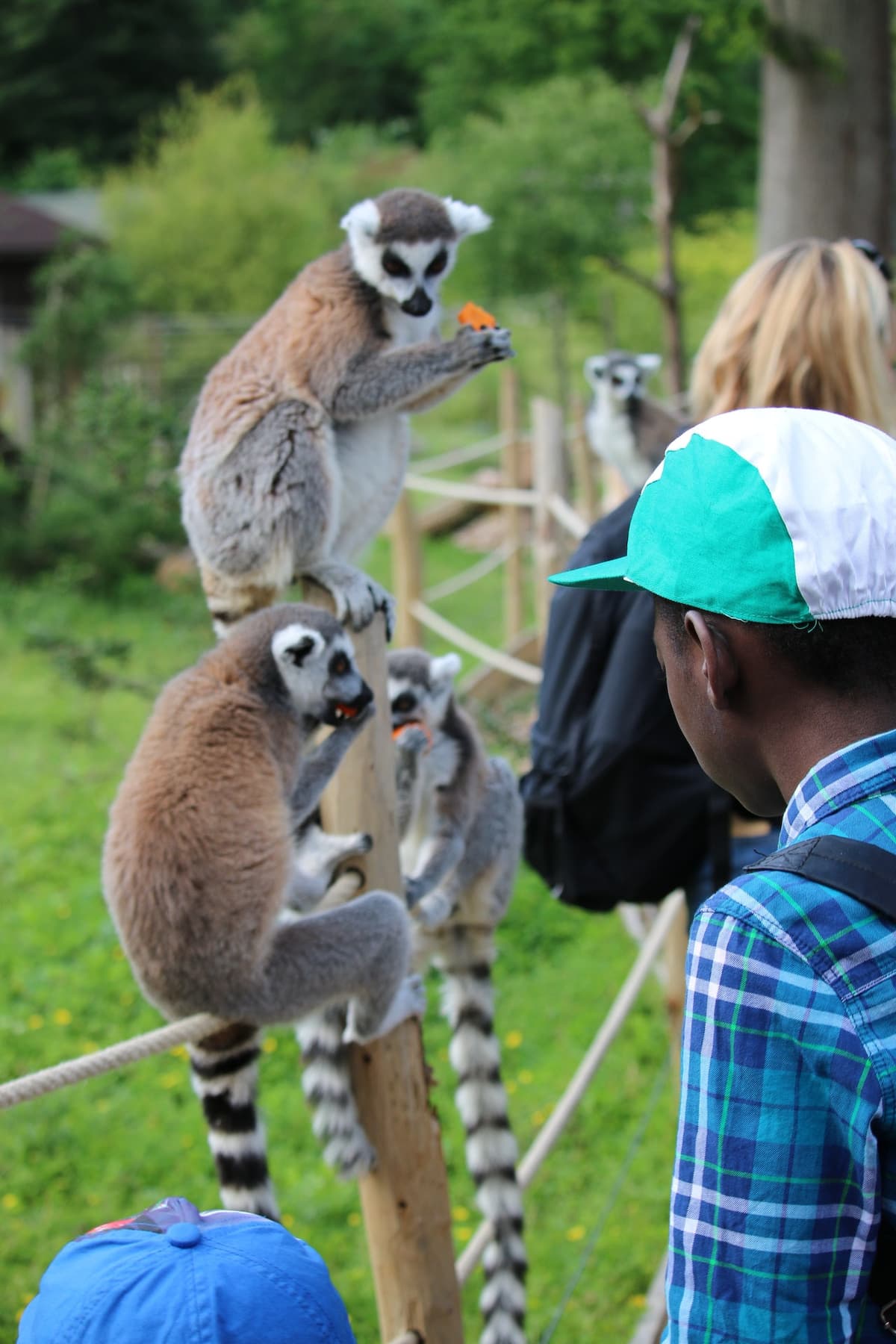 Thoiry ZooSafari: Skip The Line