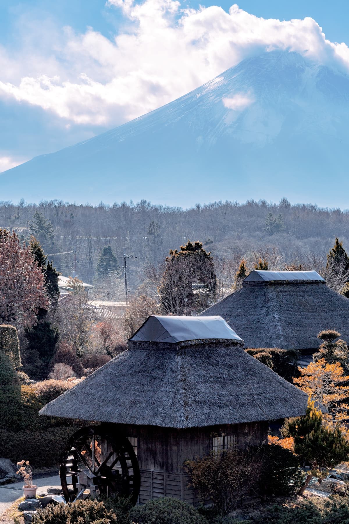 Mount Fuji G Line Full-Day Tour from Tokyo: Arakurayama Sengen Park, Lake Kawaguchi