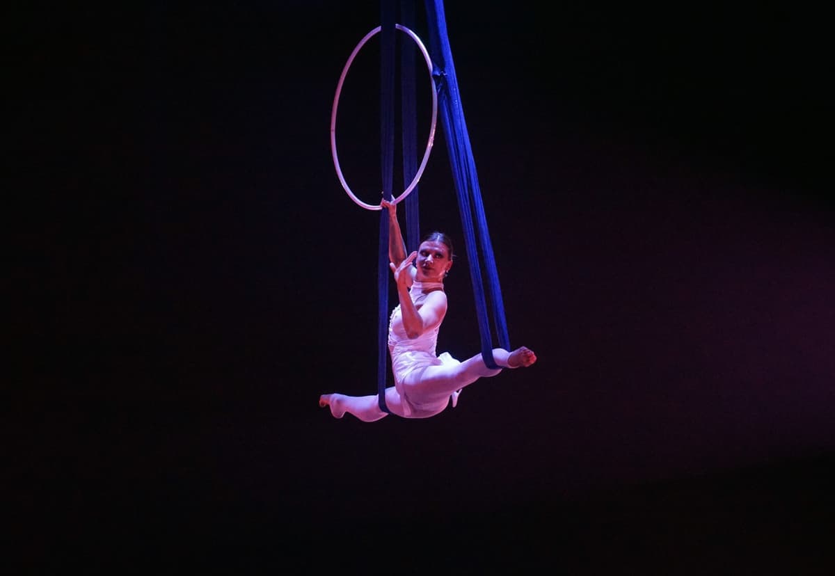 Acrobatics Show and Shanghai City Night Tour
