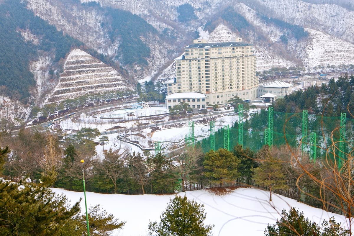 Elysian Gangchon Ski Resort and Nami Island Full-Day Tour from Seoul