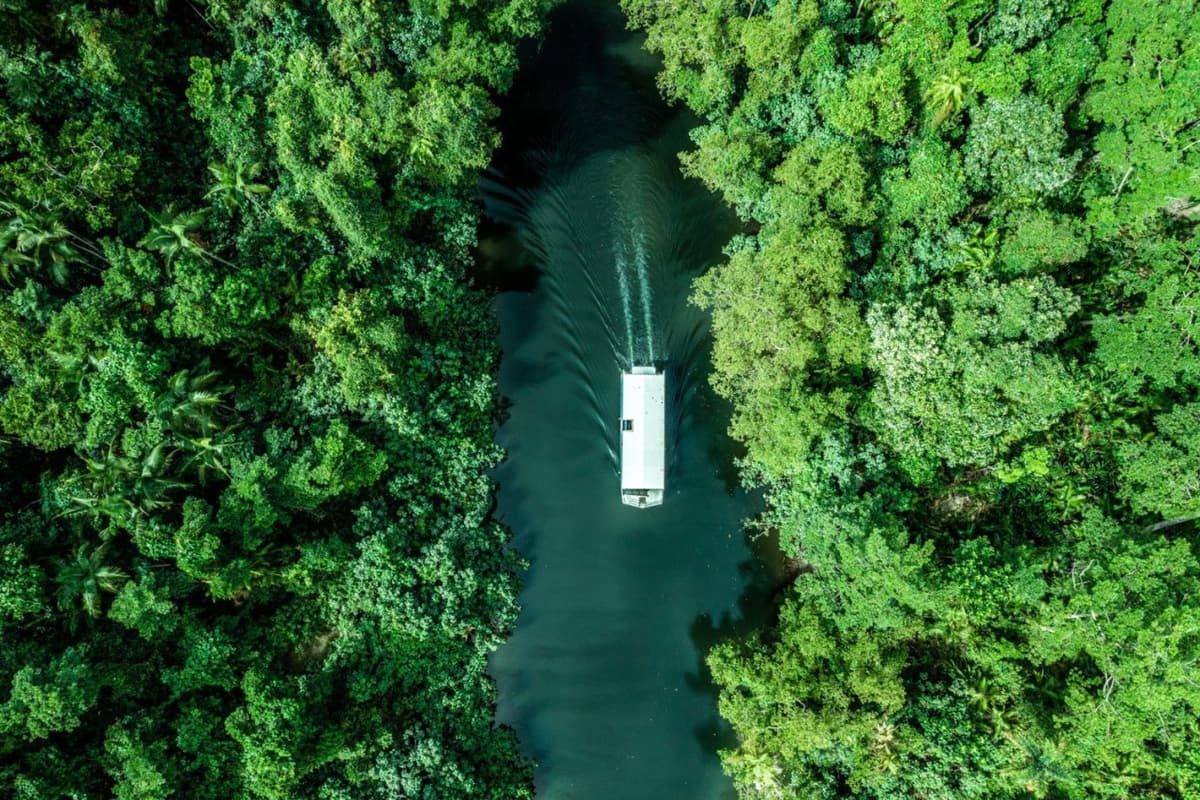 Daintree, Mossman Gorge, and Wildlife Habitat Port Douglas Full-Day Tour