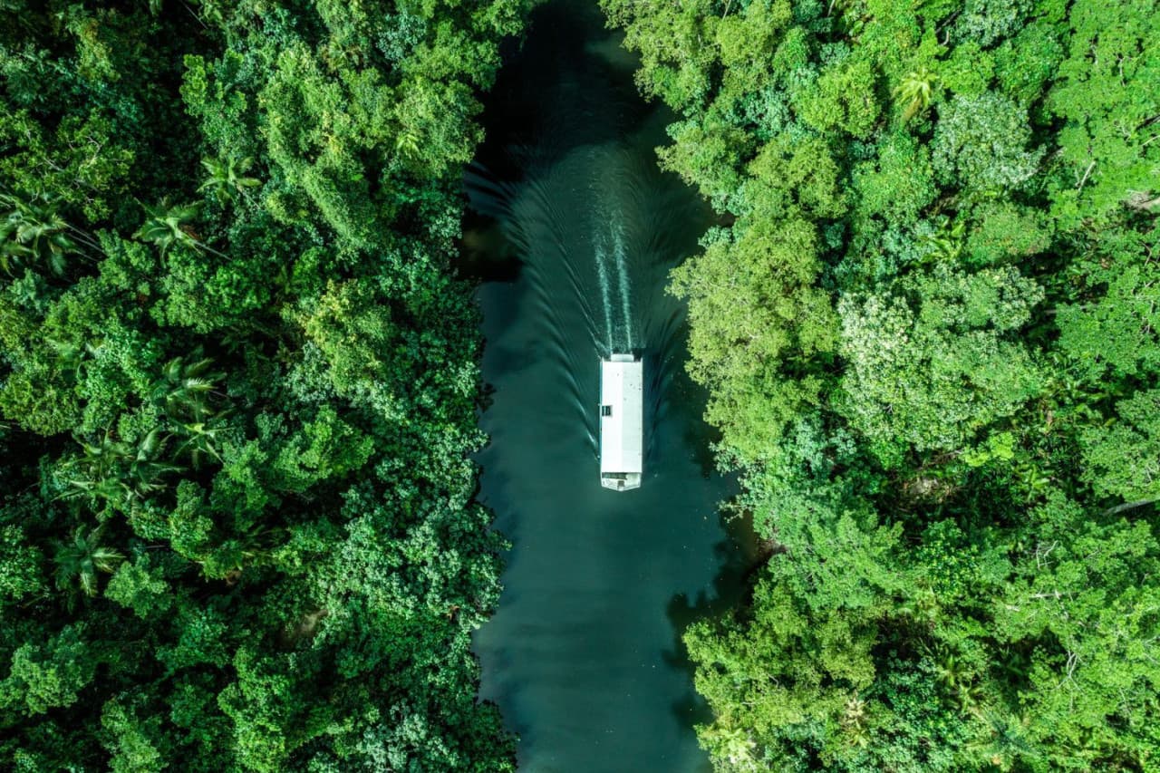 Daintree, Mossman Gorge, and Wildlife Habitat Port Douglas Full-Day Tour