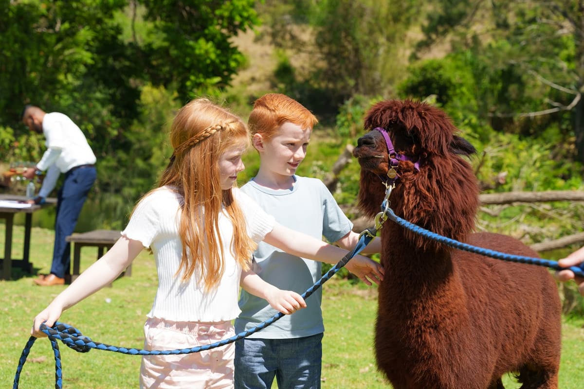 Lamington National Park Tour: O'Reilly's Rainforest Retreat and Canungra Valley Vineyard
