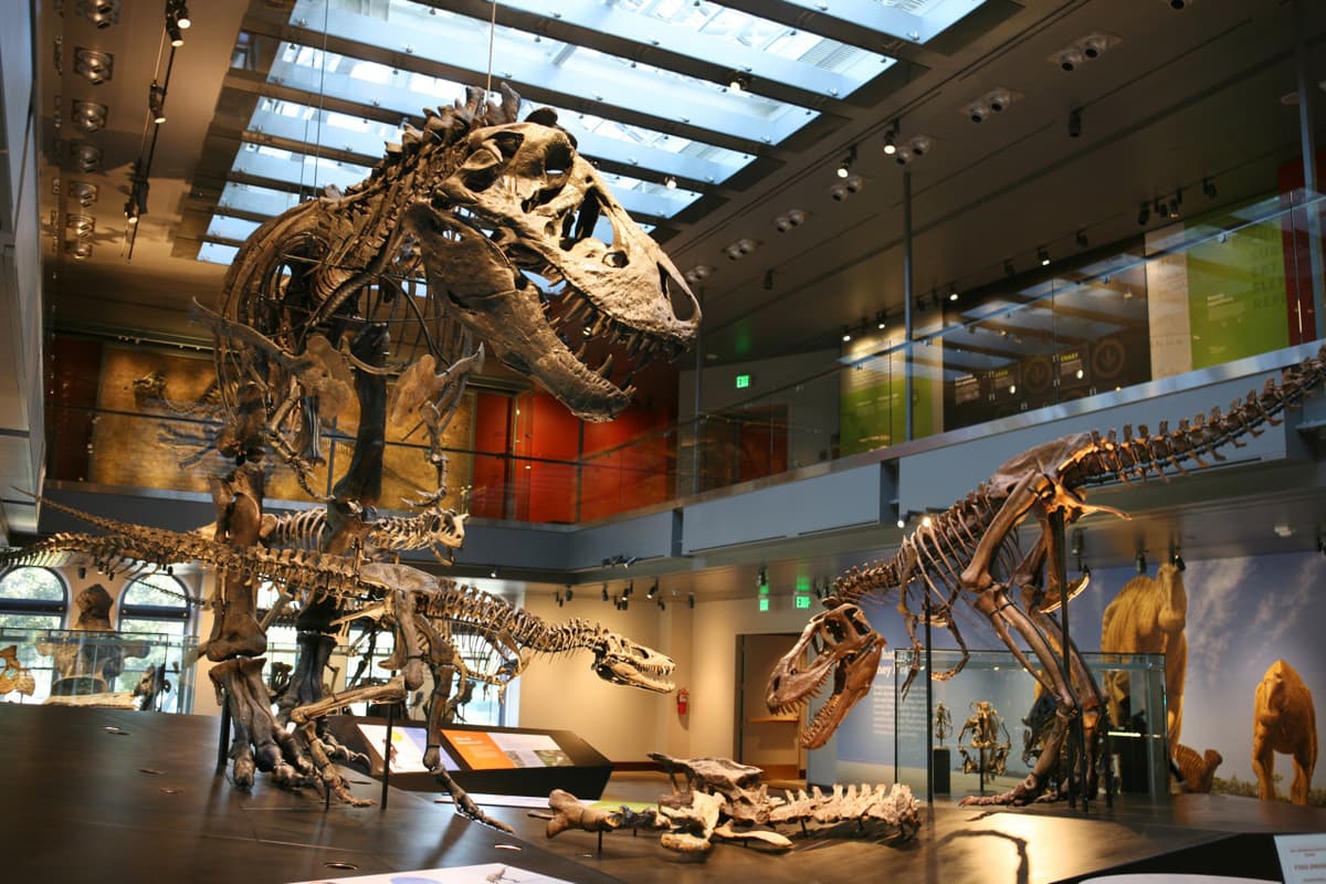 Go City Los Angeles All-Inclusive Pass: Save up to 50% on Attractions