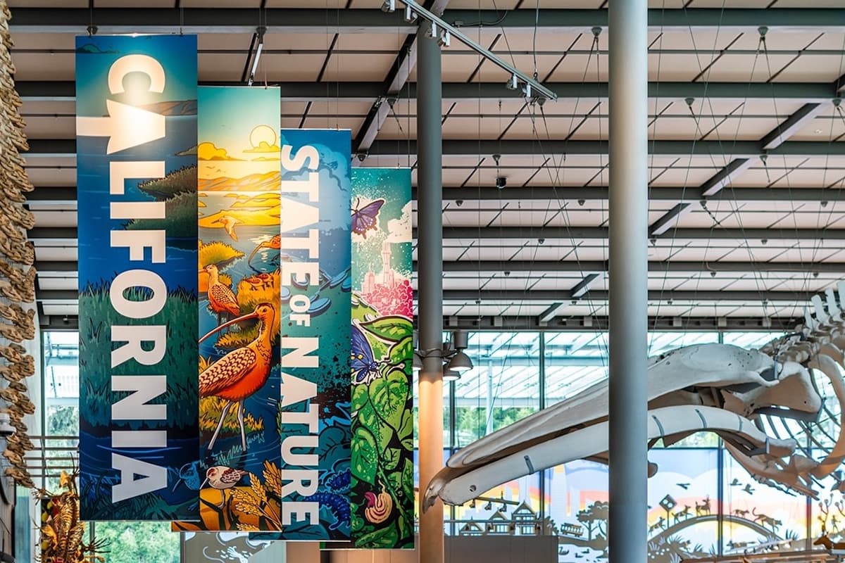 California Academy of Sciences Ticket