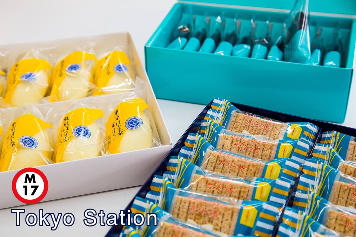 Tokyo Subway Ticket: Tokyo Metro and Toei Subway