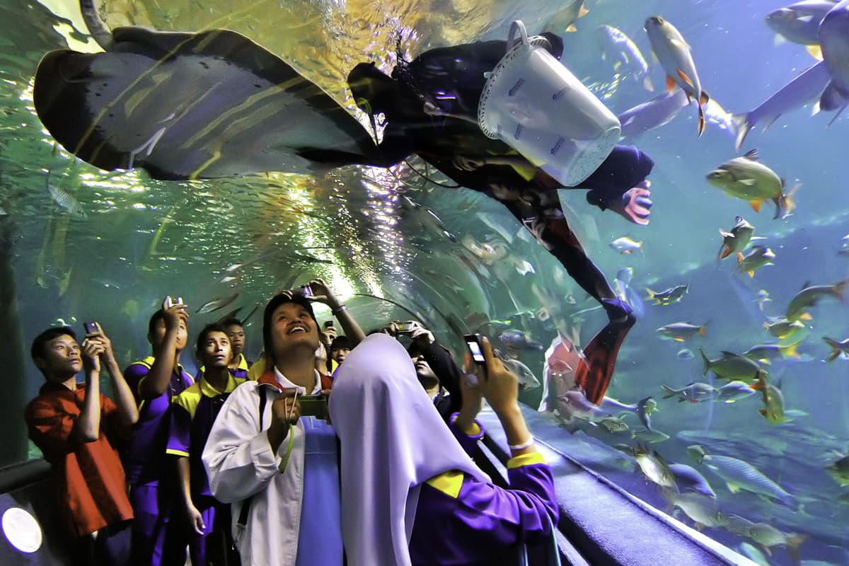 Chiang Mai Zoo Aquarium