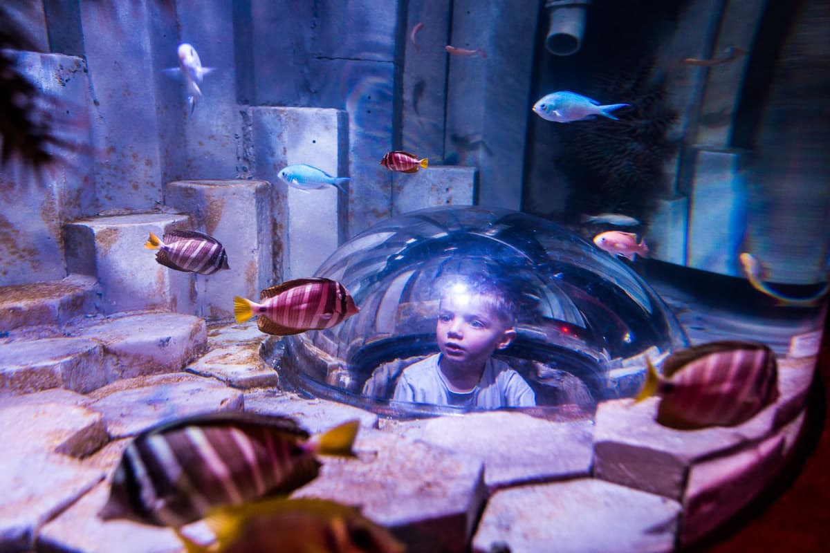 COMBO: Melbourne Skydeck + SEA LIFE Melbourne Aquarium Tickets