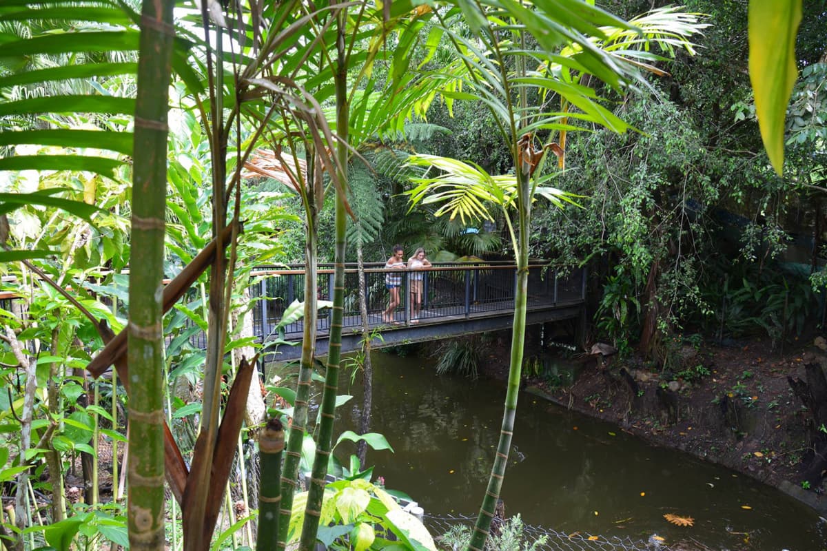 Kuranda Koala Gardens