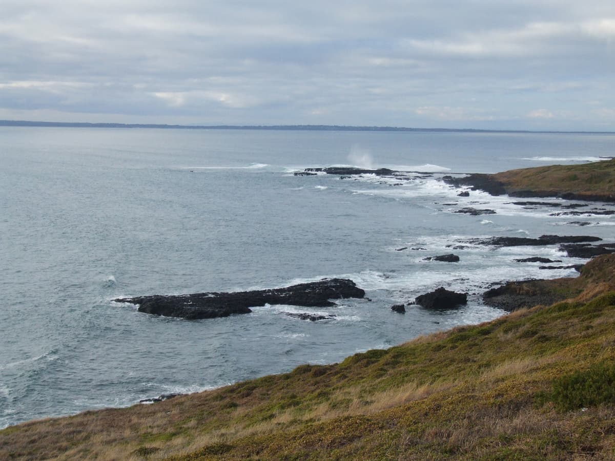 Phillip Island Nature Parks - Penguin Parade Ticket