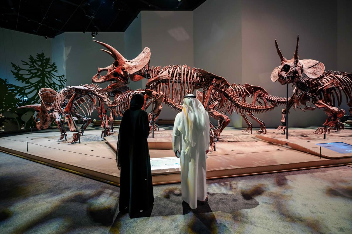 COMBO: Zayed National Museum + Natural History Museum Abu Dhabi Tickets