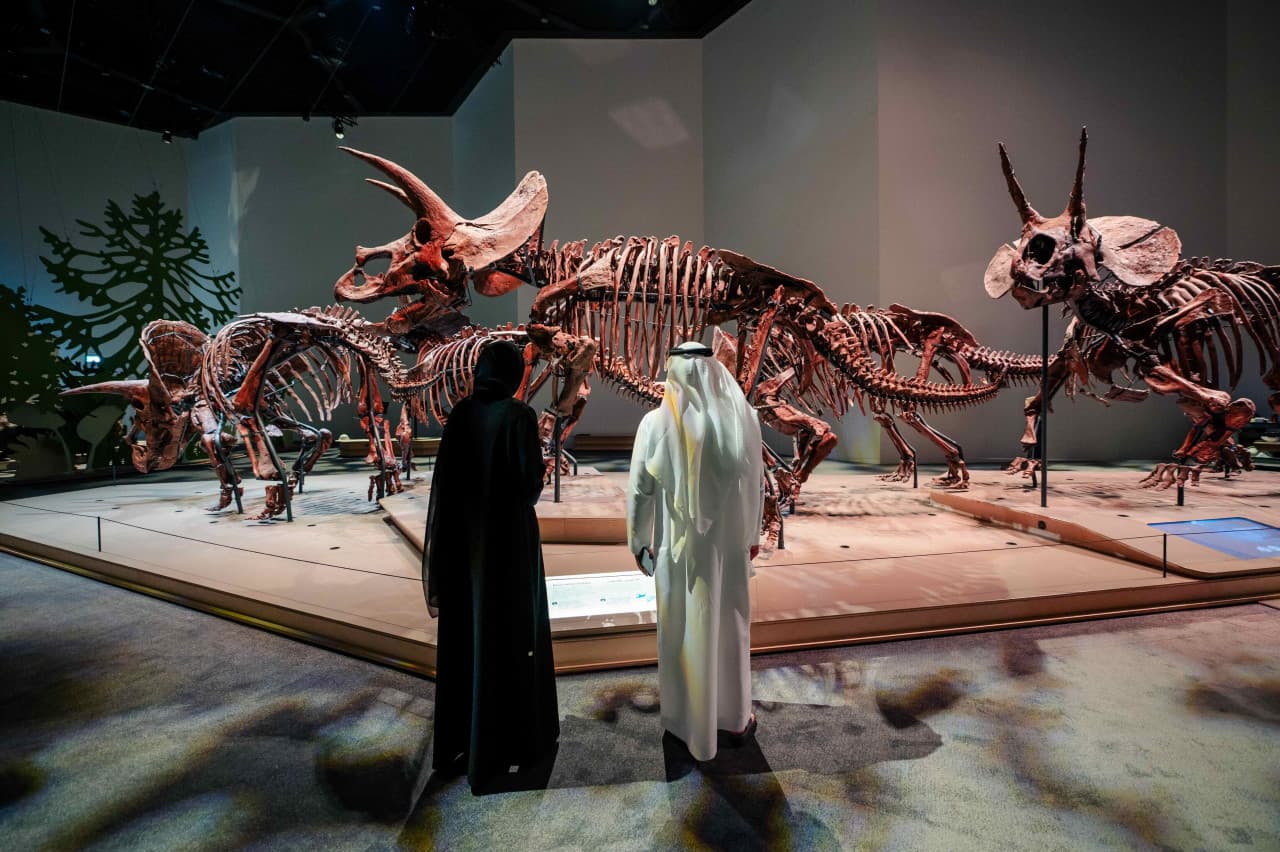 COMBO: Zayed National Museum + Natural History Museum Abu Dhabi Tickets