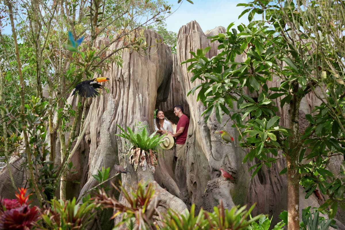 Singapore Bird Paradise Ticket