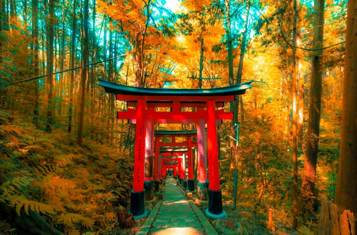 Kyoto Full-Day Tour: Nijo Castle, Kinkaku-ji, Fushimi Inari Taisha, Kiyomizu-dera Temple