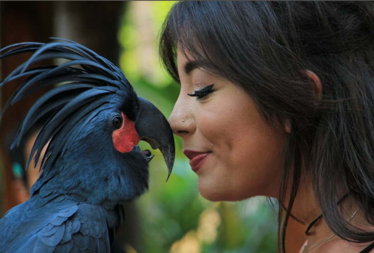 Lombok Wildlife Park: Intimate Wildlife Experience
