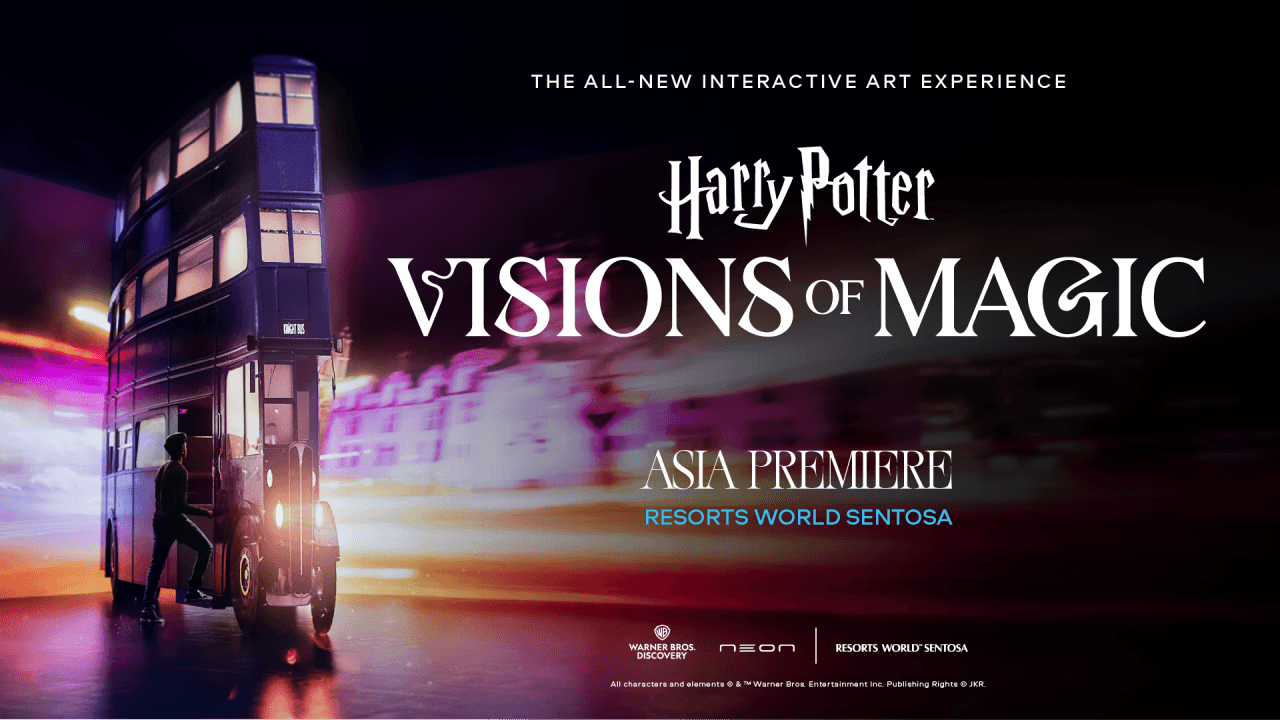 Harry Potter: Visions of Magic