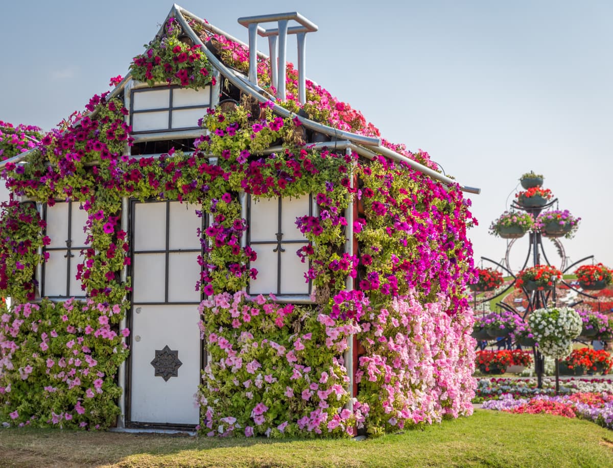 COMBO: Dubai Miracle Garden + Global Village Dubai Tickets