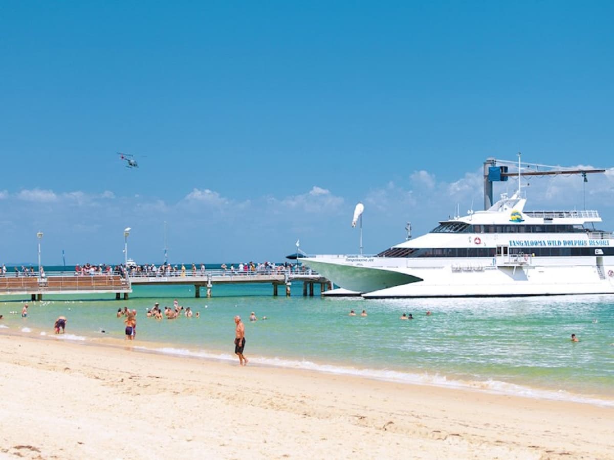 Tangalooma Island Tour with Dolphin Viewing