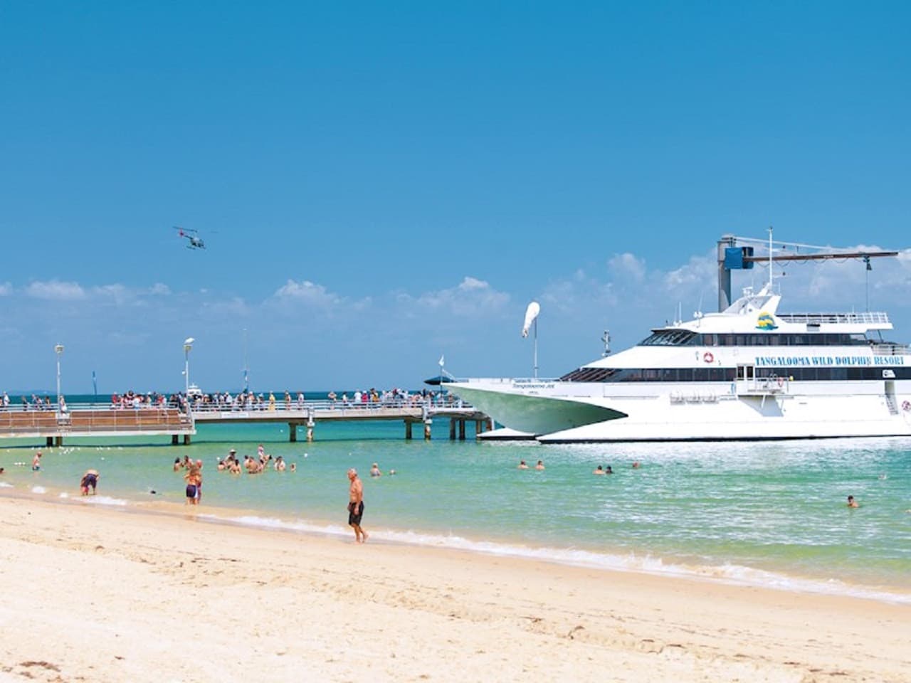 Tangalooma Island Tour with Dolphin Viewing