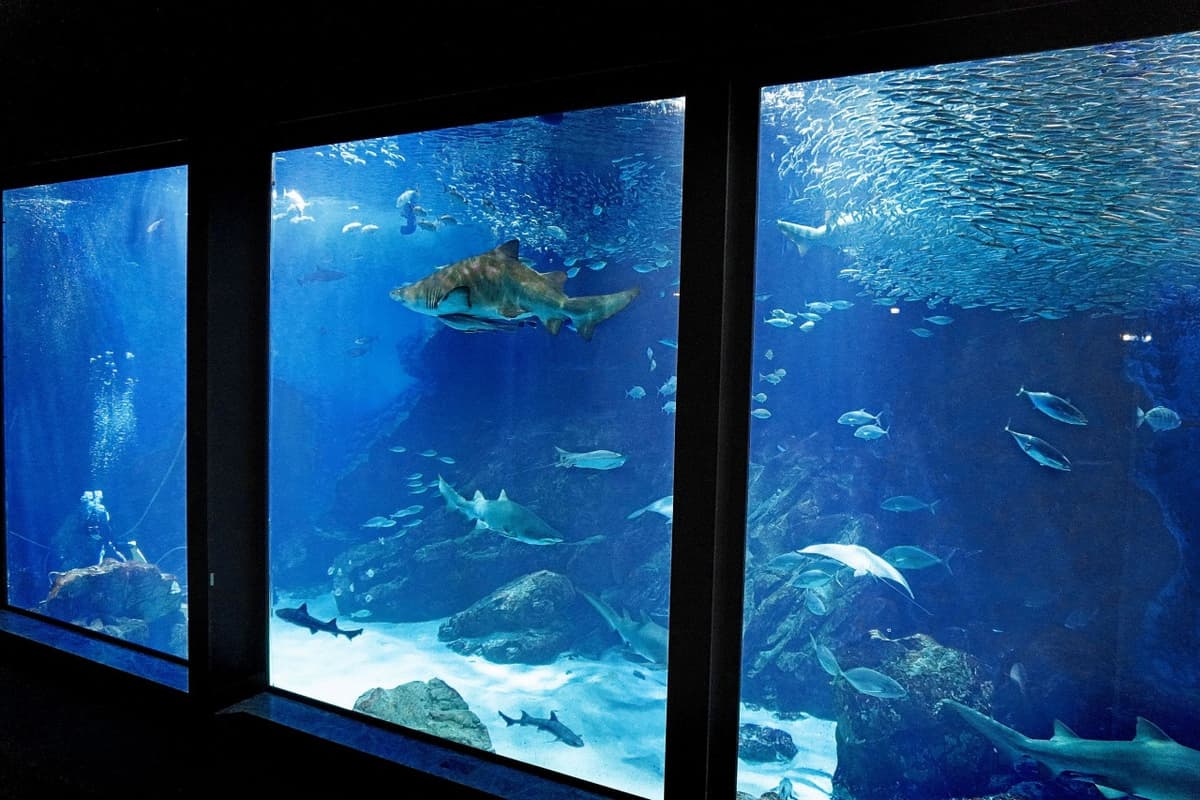 Marine World Uminonakamichi