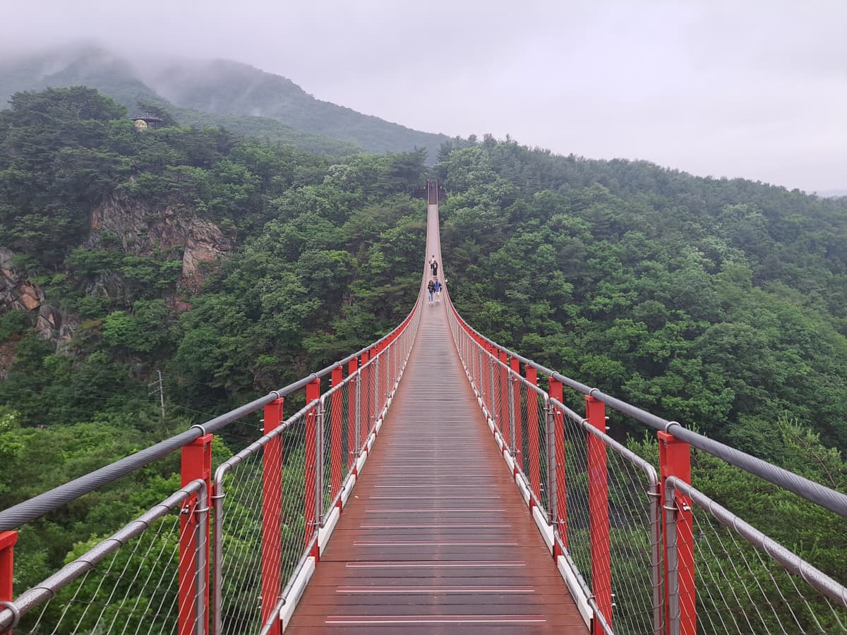 Korean Demilitarized Zone (DMZ) Tour from Seoul
