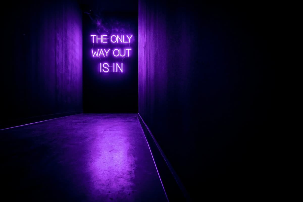 AMAZE: The Immersive Experience