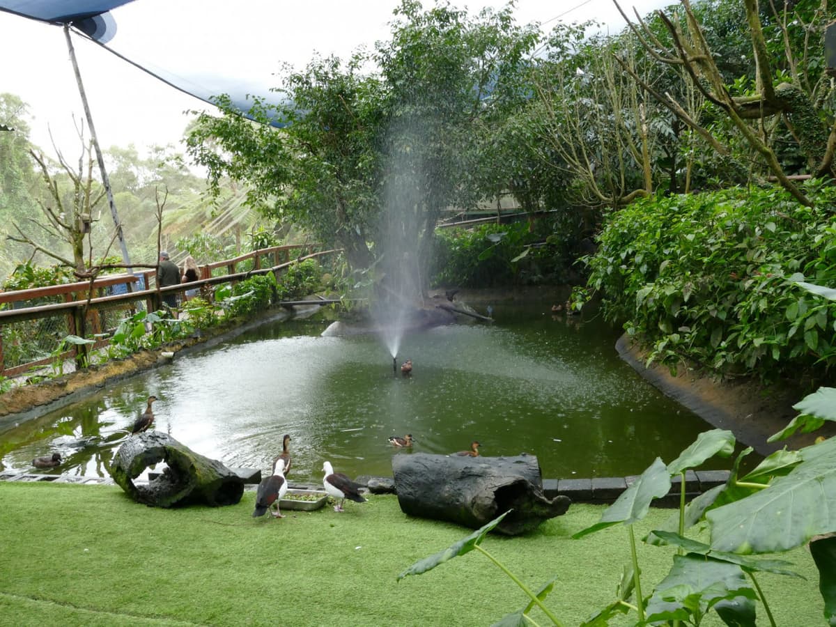 Birdworld Kuranda