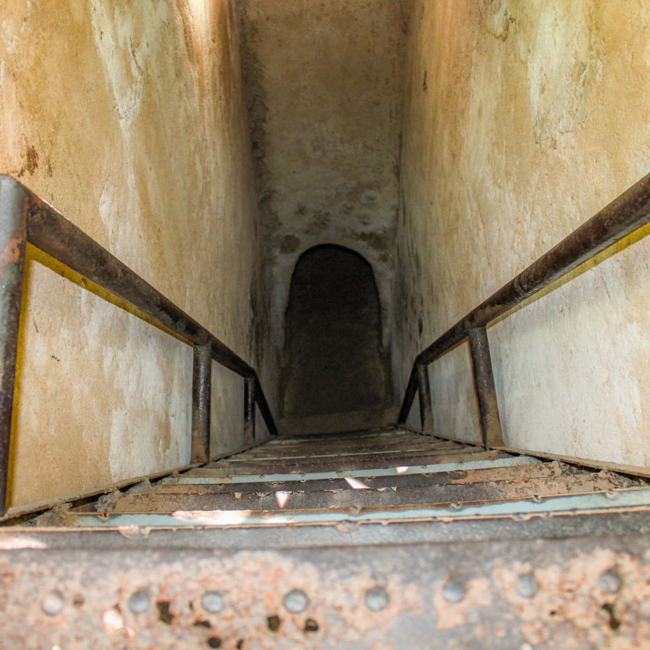 Cu Chi Tunnels and Mekong Delta Full-Day Tour from Ho Chi Minh