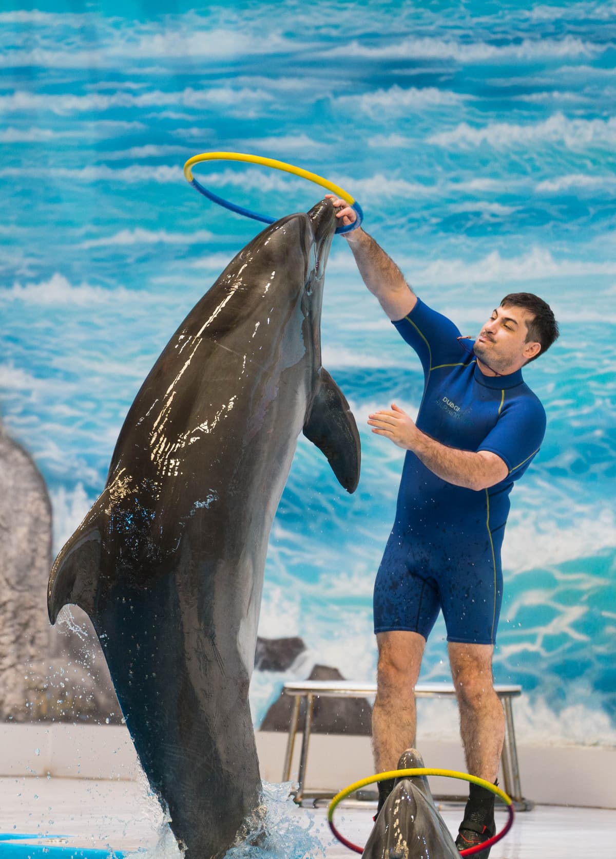 Dubai Dolphinarium Ticket