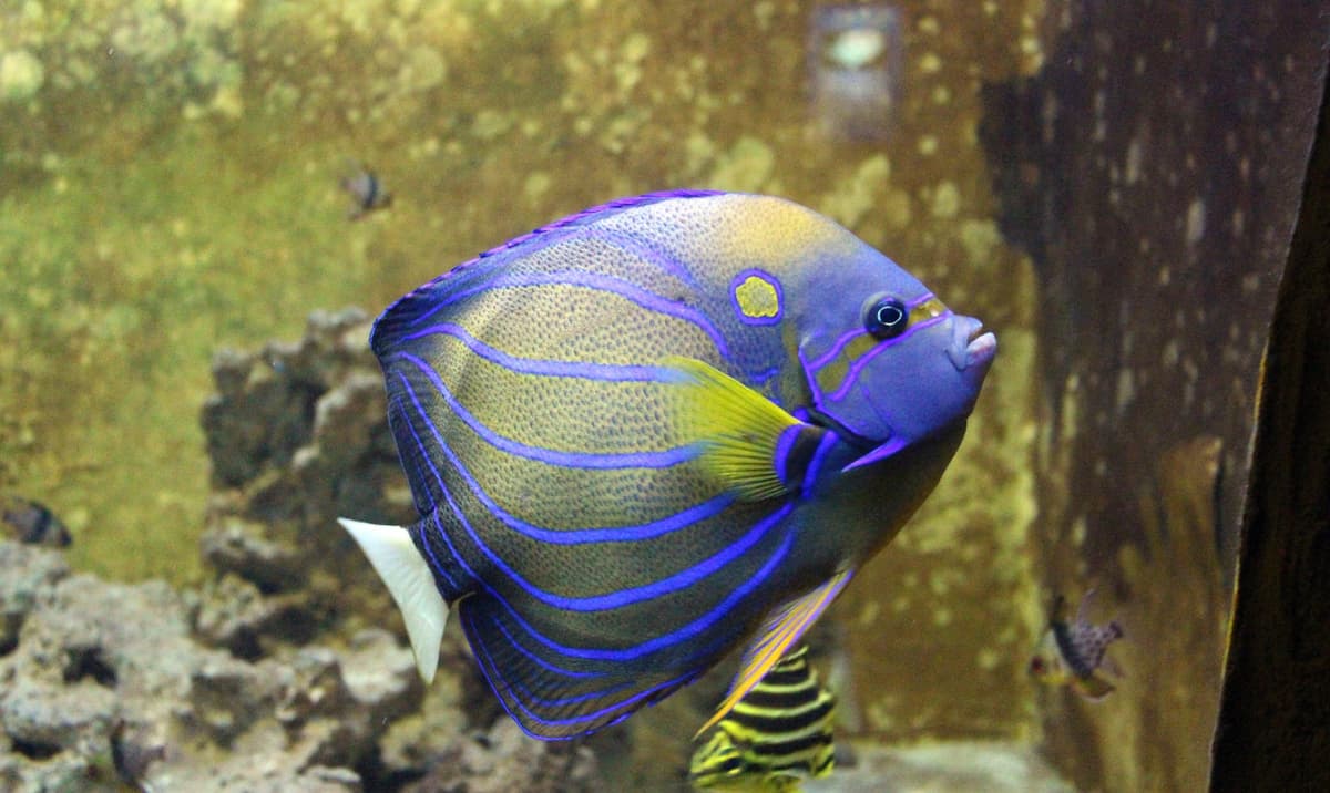 Yehliu Ocean World
