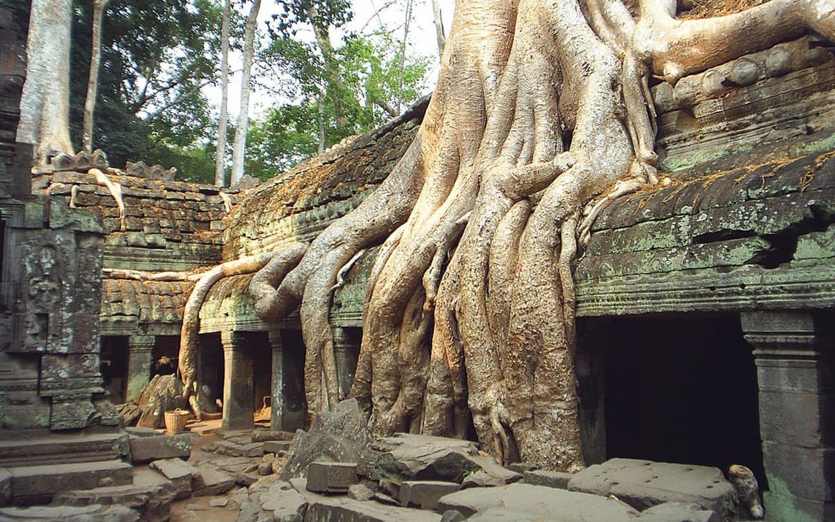 Angkor Archaeological Park and Temples Sunrise Tour