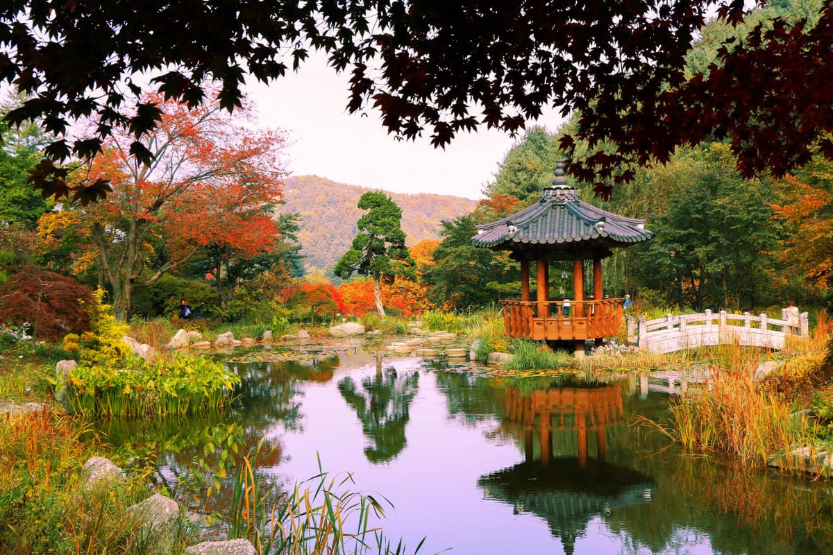 Nami Island, Petite France, Garden of Morning Calm, and Gangchon Rail Bike Tour from Seoul