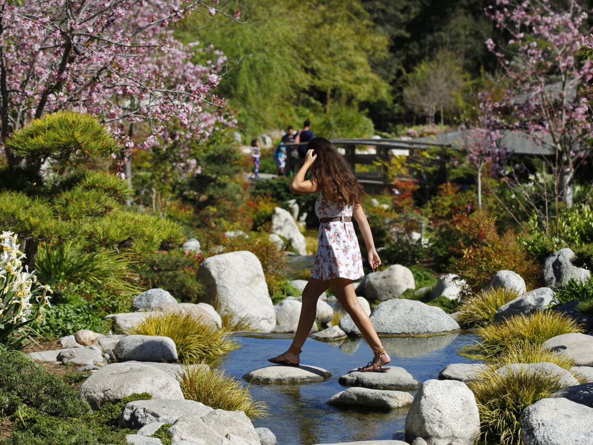 Go City San Diego Explorer Pass: Save up to 50% on Attractions