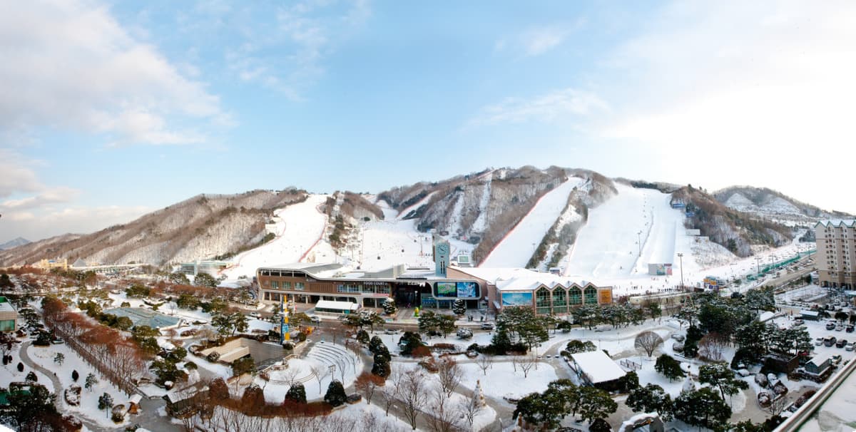 Vivaldi Park Ski World and Nami Island Full-Day Tour from Seoul