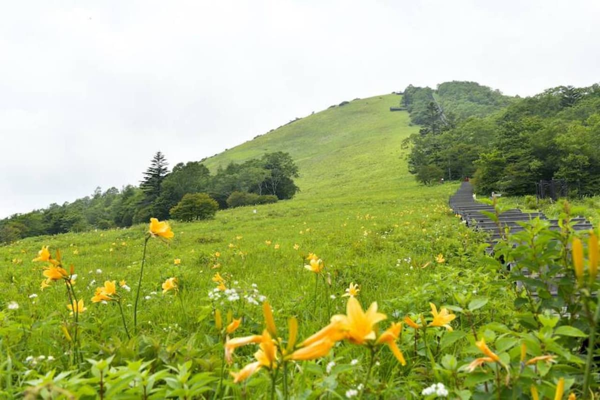 Nikko Pass All Area