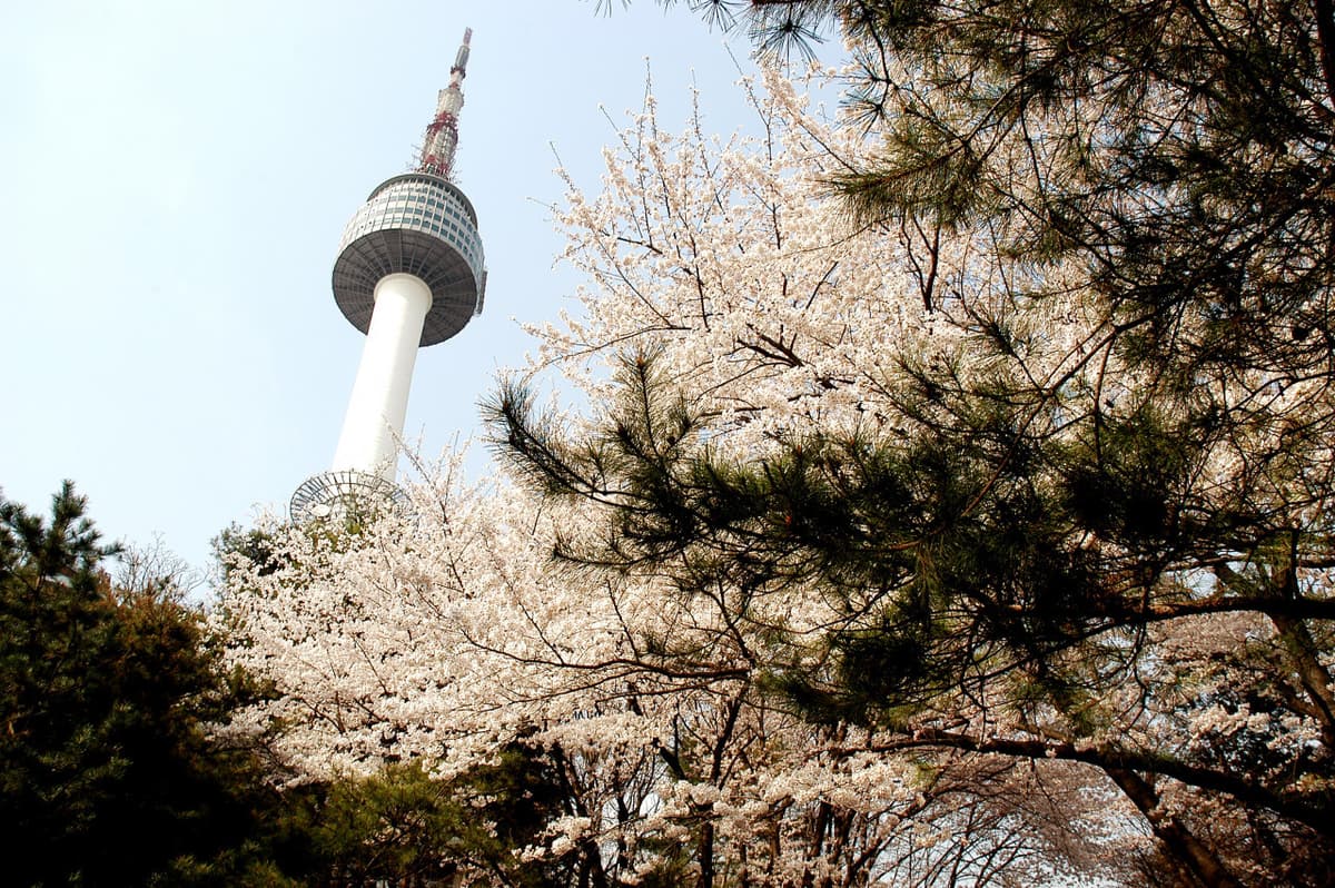 COMBO: AREX Incheon Airport Express Train + SIM Card + N Seoul Tower