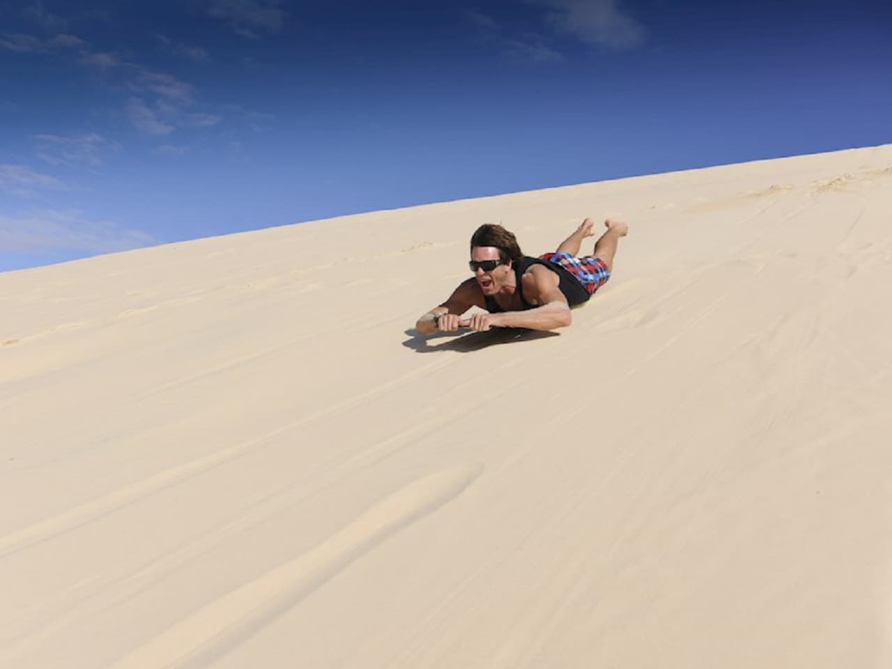 Tangalooma Island Tour with Dolphin Viewing