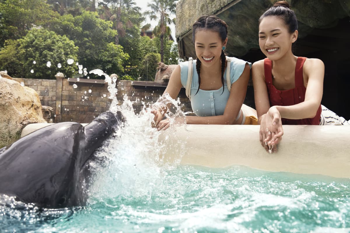 Dolphin Experiences at Marine Mammal Habitat Sentosa