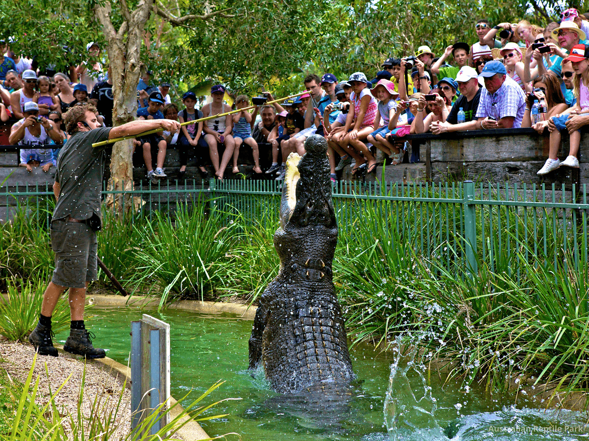 Australian Reptile Park
