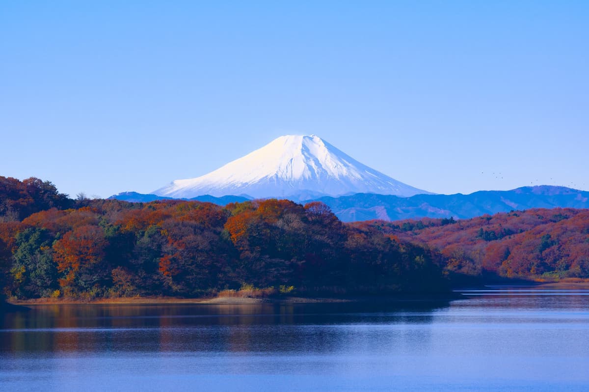 Mt Fuji, Oshino Hakkai and Gotemba Outlets 1-Day Bus Tour