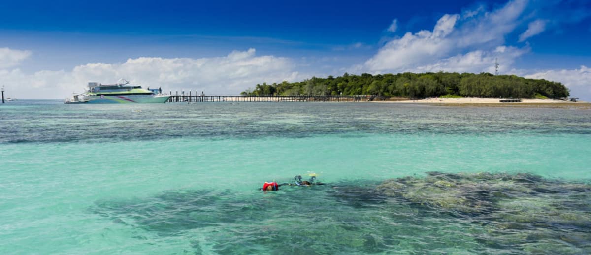 Green Island Great Barrier Reef Half Day Tour from Cairns