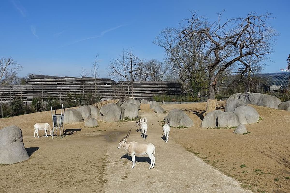 Paris Zoo (Parc Zoologique de Paris)