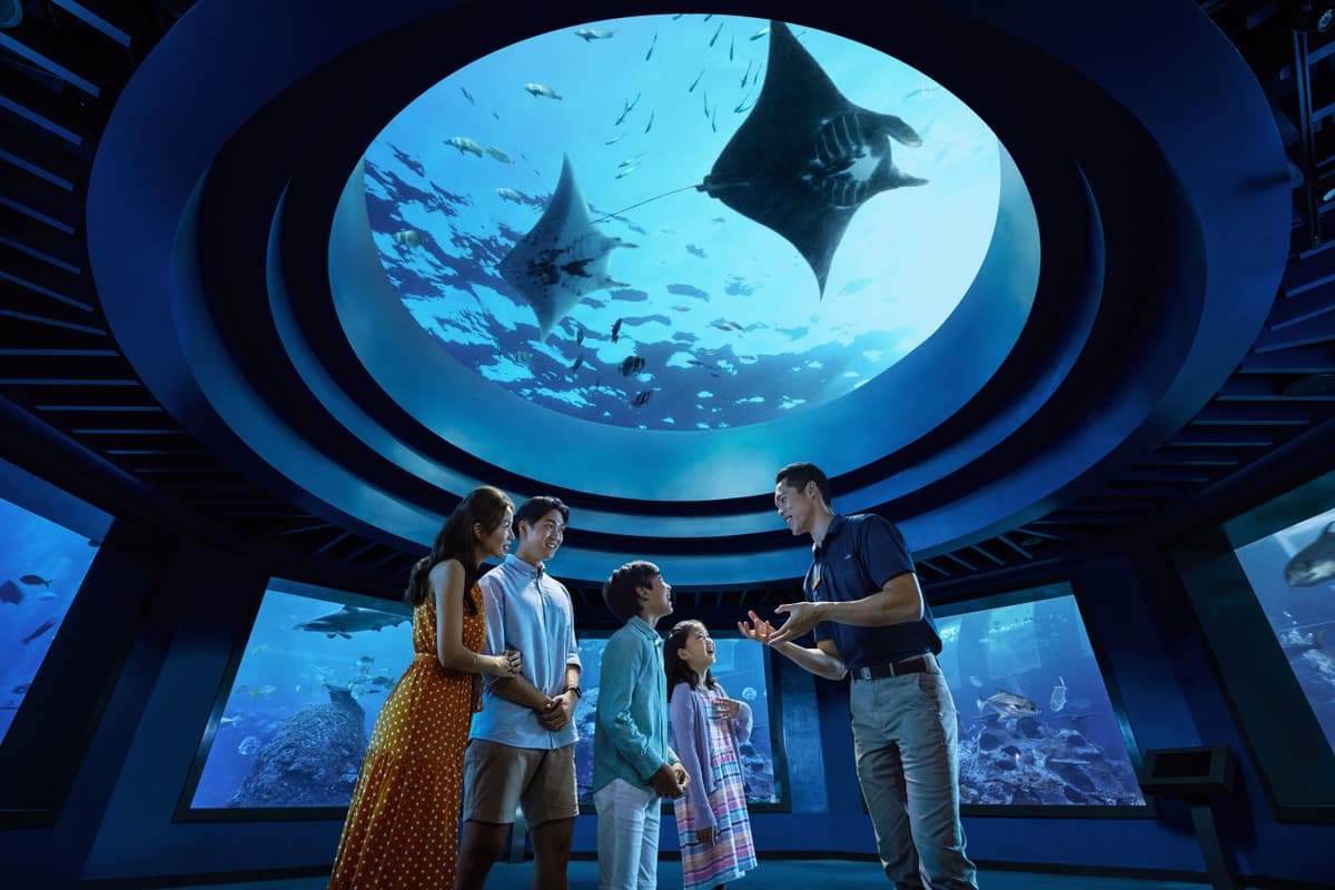 Singapore Oceanarium Ticket