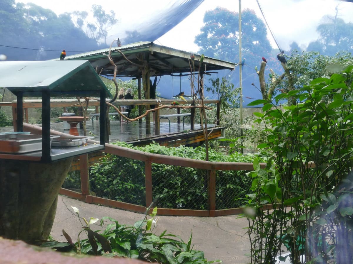 Birdworld Kuranda