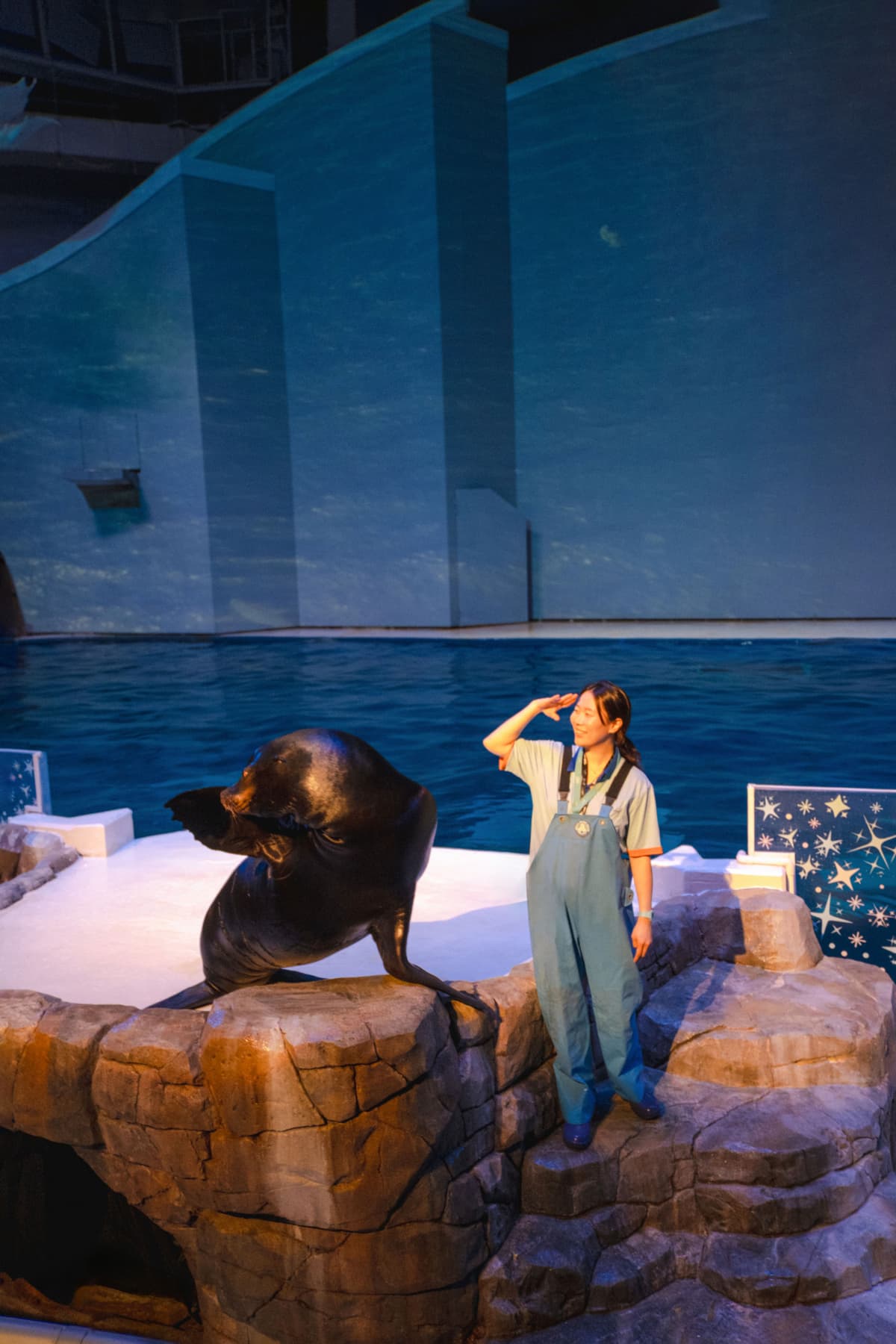 Aqua Planet Jeju Aquarium Ticket