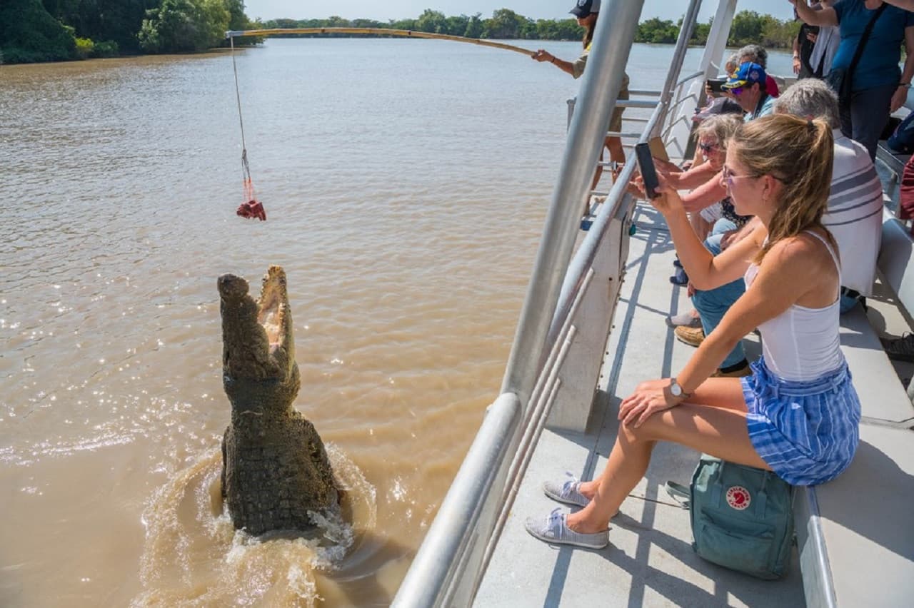 Spectacular Jumping Crocodile Cruise