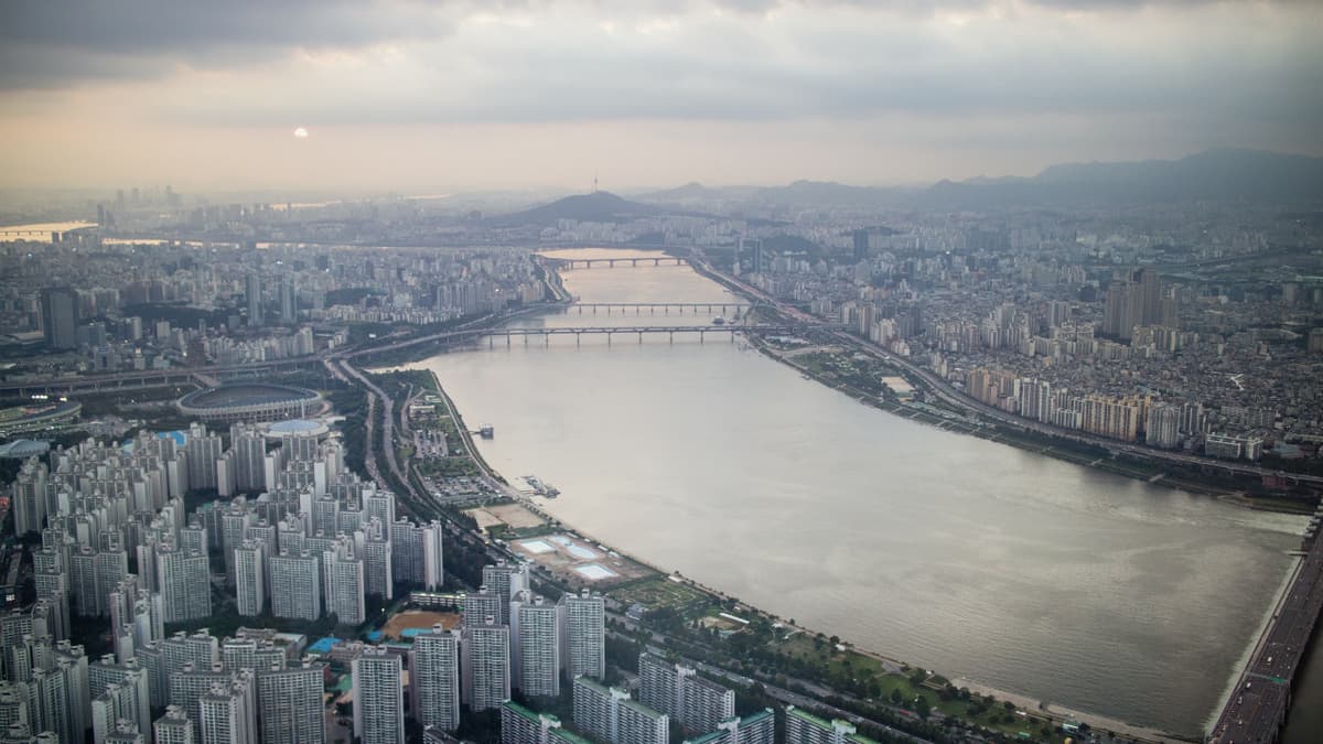 Seoul Sky Observatory Ticket