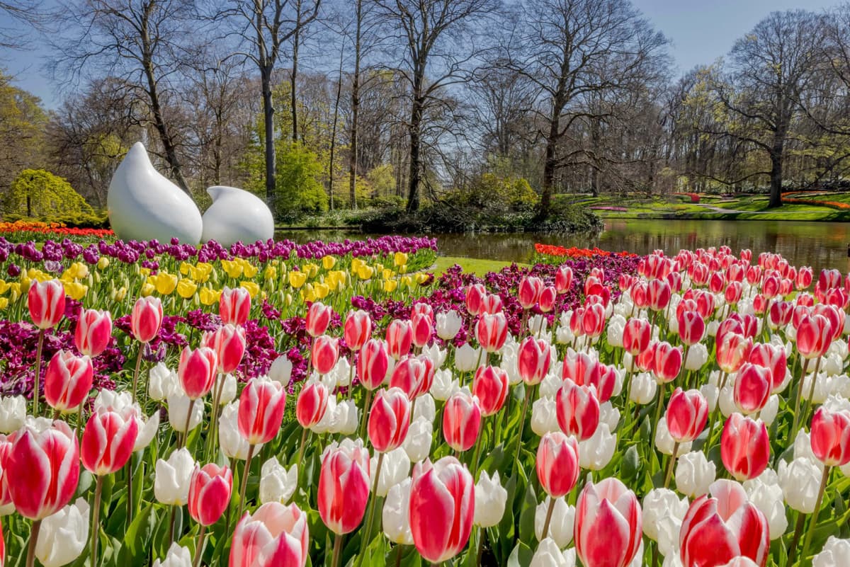 Go City Amsterdam All-Inclusive Pass: Save up to 50% on Attractions