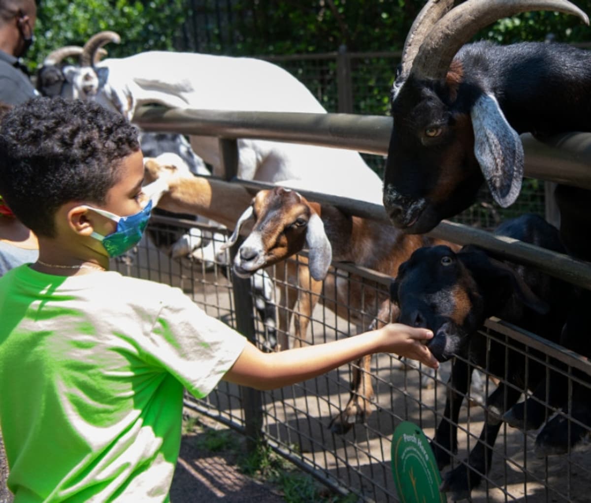 Central Park Zoo
